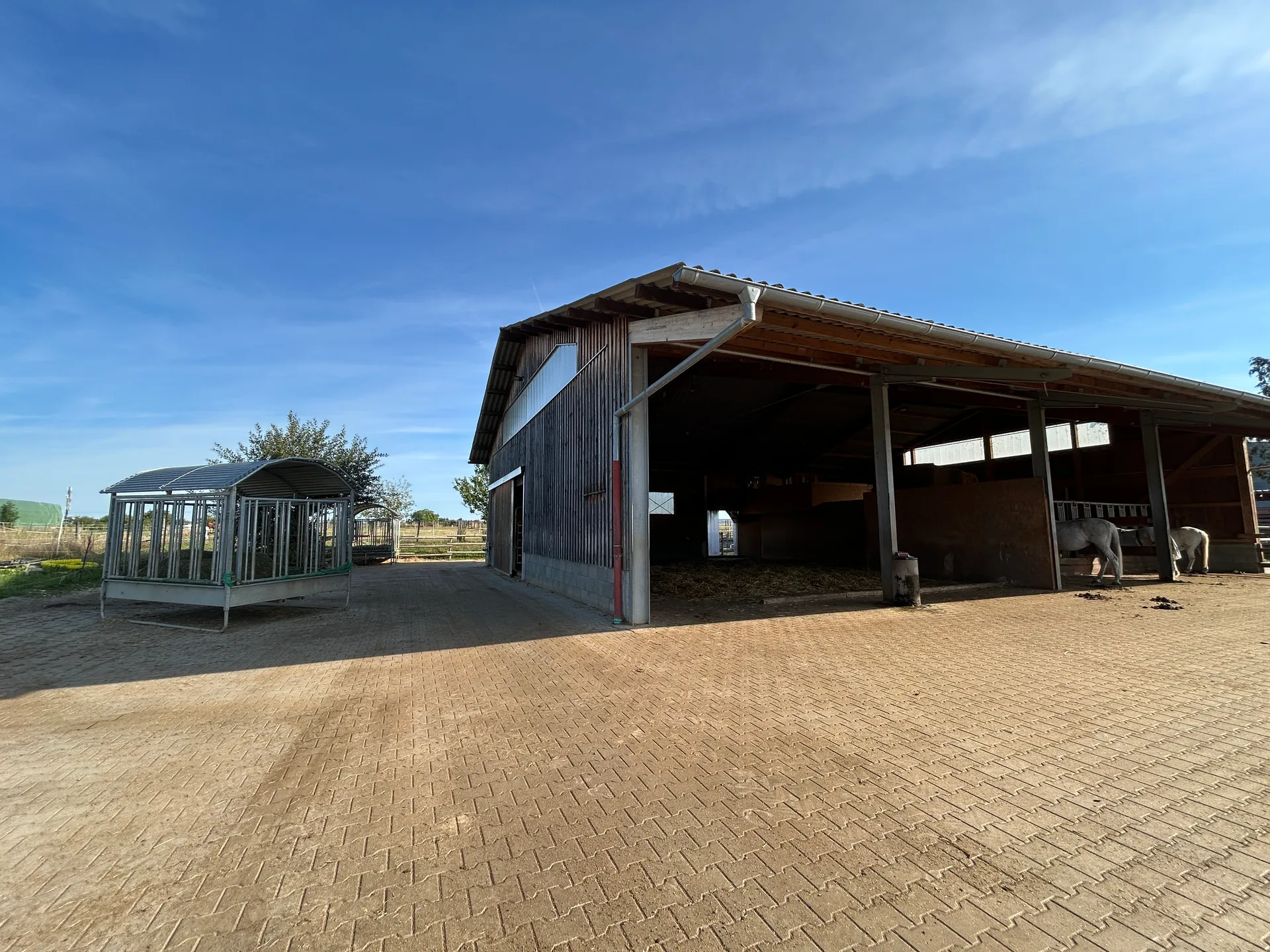 Eindruck 5